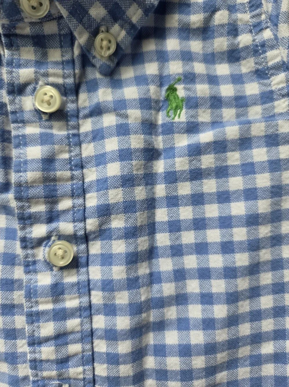 Ralph Lauren Blue and White Gingham Button-Down Shirt for Kids 6M